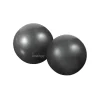 Gymstick Exercise Weight Ball 2 X 1Kg