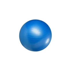 Master Fitness Gymboll